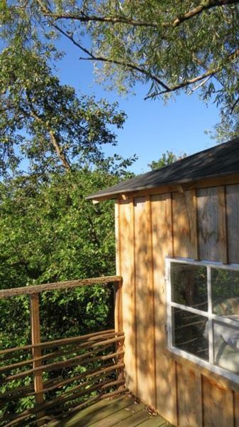 Treehouse B&B Rabjerg エクステリア 写真