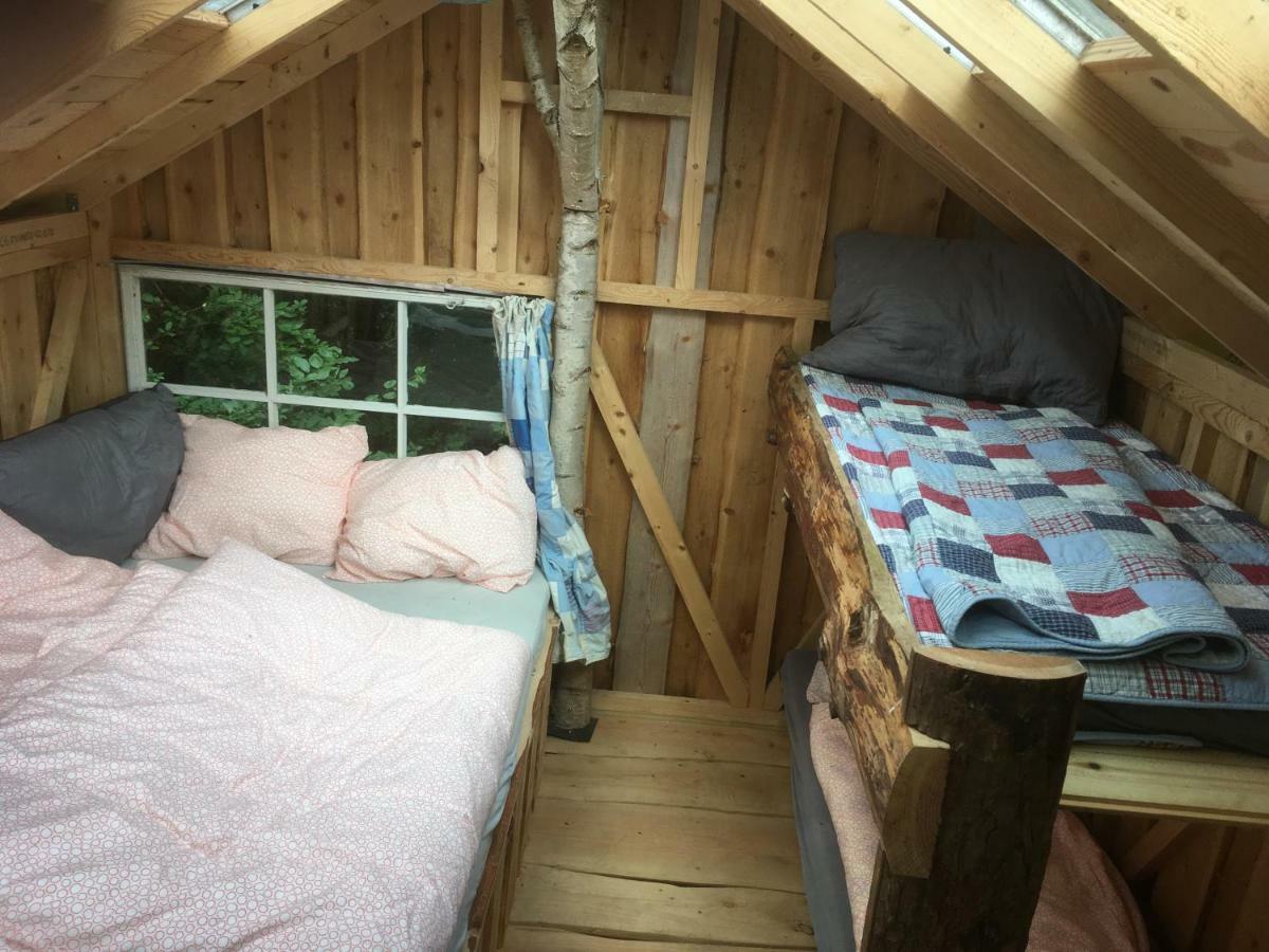 Treehouse B&B Rabjerg エクステリア 写真